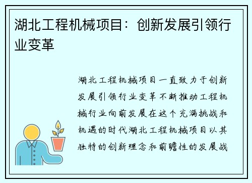 湖北工程机械项目：创新发展引领行业变革